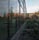 Reflection, PLU 13